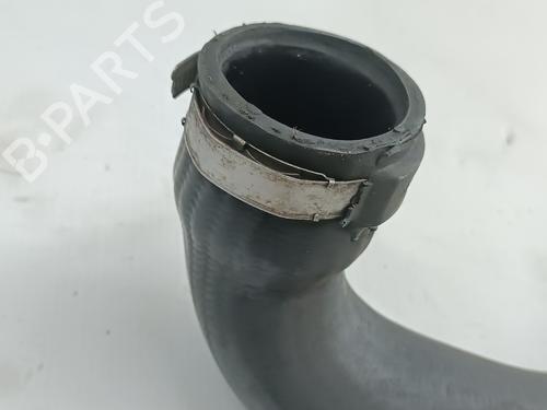 Annen RENAULT MEGANE II (BM0/1_, CM0/1_) 1.5 dCi (BM0F, BM0T, BM2B, CM0F, CM0T) | BP29973591O1 