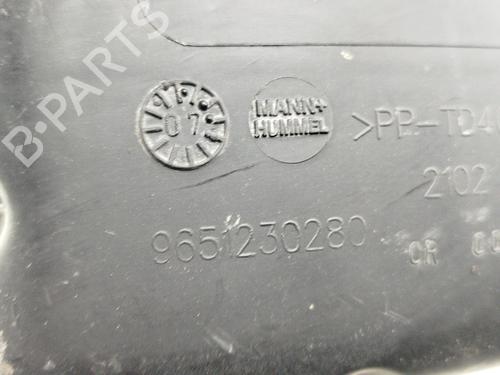 Air filter box CITROËN C4 Grand Picasso II (DA_, DE_) 1.6 BlueHDi 120 | BP30090682M87 