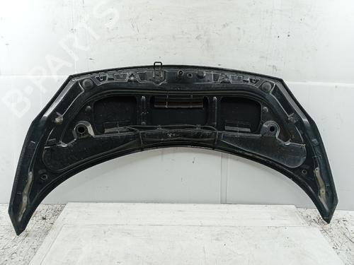 Used Hood RENAULT SCÉNIC II (JM0/1_) 1.5 dCi (JM16) (103 hp) 30272605