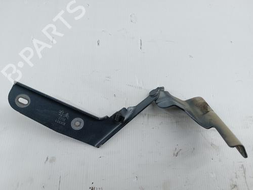 Used Hinge/Door check strap CITROËN C4 Coupe (LA_) 1.6 HDi (90 hp) 31254179