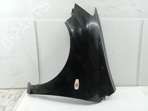 Left front fenders HYUNDAI GETZ (TB) 1.1 | BP30642863C41 
