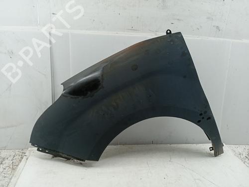 Used Left front fenders FIAT DOBLO Cargo (263_) 1.6 D Multijet (263WXD1B, 263WXR1B, 263WXX1B, 263ZXD1B,... (105 hp) 30711967