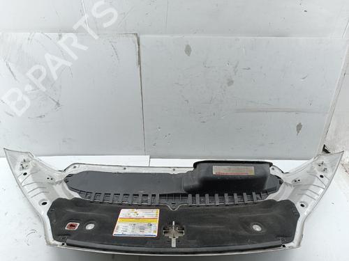 Used Hood FIAT DUCATO Van (250_) 140 Multijet 2,3 D (140 hp) 30904967