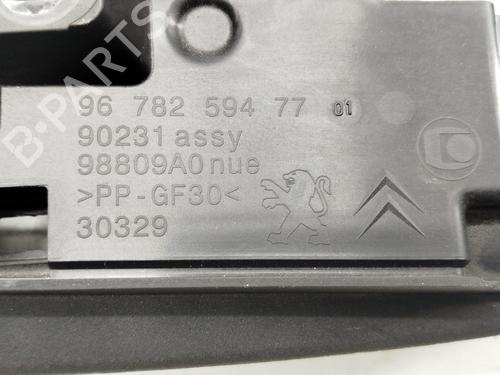 Innerbelysning CITROËN DS5 2.0 HDi 200 Hybrid4 All-wheel Drive | BP31023341I8 