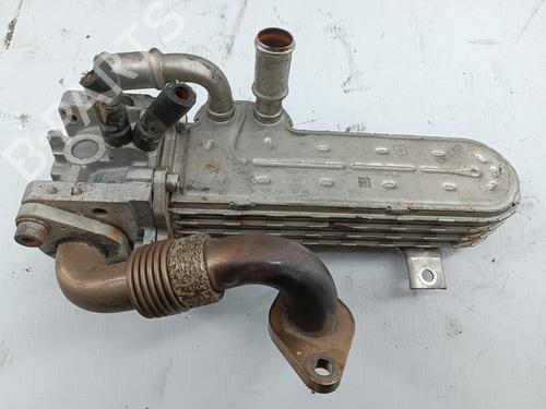 Egr VW NEW BEETLE Convertible (1Y7) 1.9 TDI (105 hp) 31254244