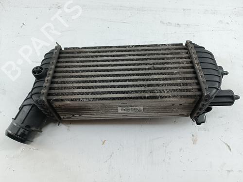 Intercooler PEUGEOT 3008 I MPV (0U_)  | BP31134534M30 