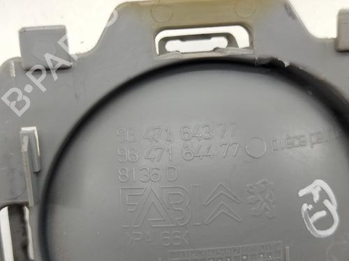 Front right interior door handle CITROËN C3 Pluriel (HB_) 1.4 HDi | BP31292066I14