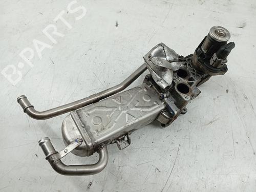 Egr VW POLO V (6R1, 6C1) 1.2 TDI | BP31338708M69 