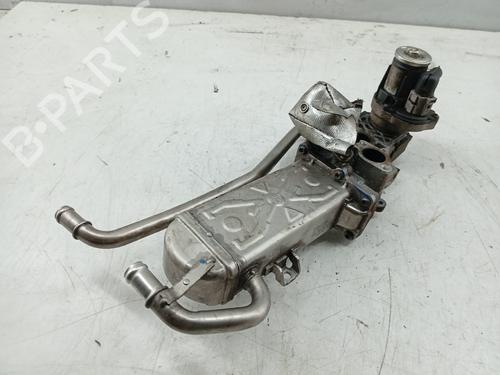 Egr VW POLO V (6R1, 6C1) 1.2 TDI | BP31338708M69 