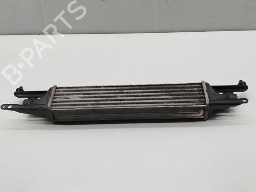Intercooler OPEL CORSA D (S07)  | BP31666800M30 