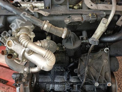 Engine FIAT GRANDE PUNTO (199_) 1.3 D Multijet | BP31851276M1 