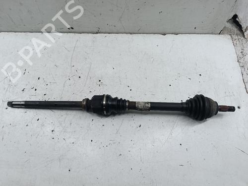 BP31905517M39 main image