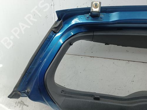 Tailgate RENAULT MEGANE II (BM0/1_, CM0/1_) 1.5 dCi (BM0F, BM0T, BM2B, CM0F, CM0T) | BP30272230C6