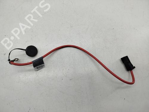 Used Cable BMW 3 Touring (E91) 320 d (177 hp) 31929686