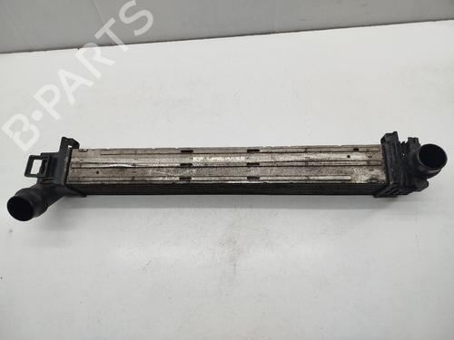 Intercooler RENAULT MEGANE III Hatchback (BZ0/1_, B3_) [2008-2026]  31959628