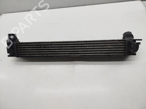 Intercooler RENAULT MEGANE III Hatchback (BZ0/1_, B3_)  | BP31959628M30 