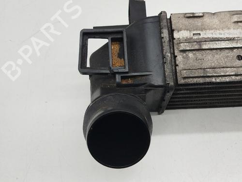 Intercooler RENAULT MEGANE III Hatchback (BZ0/1_, B3_)  | BP31959628M30 