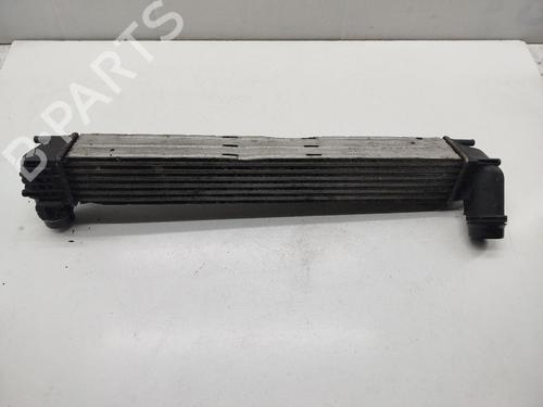 Intercooler RENAULT MEGANE III Hatchback (BZ0/1_, B3_)  | BP31959628M30 