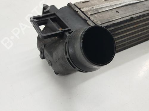 Intercooler RENAULT MEGANE III Hatchback (BZ0/1_, B3_)  | BP31959628M30 