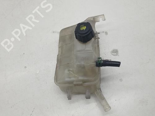 Other RENAULT MEGANE III Hatchback (BZ0/1_, B3_) | BP31983229O1