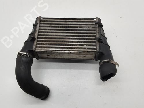 Intercooler VW PASSAT B5 Variant (3B5) 1.9 TDI | BP32002227M30 