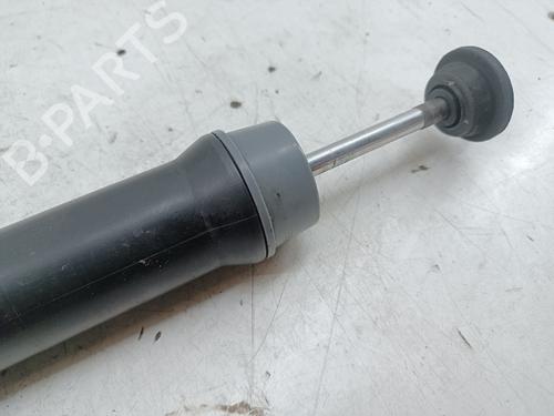 BP32262357O1 main image