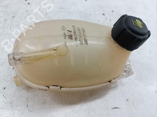 Water radiator RENAULT CAPTUR II (HF_) | BP32267399M31 - Image 4