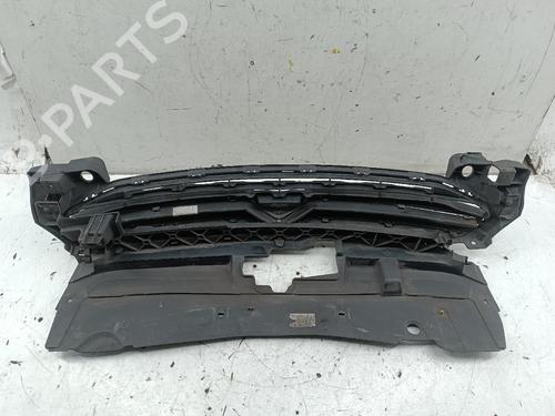 grill-citroen-c-elysee-dd_-2012-32453819 main image