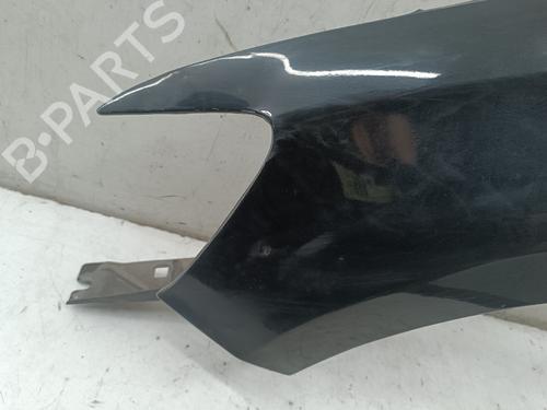Guarda-lamas esquerdo CITROËN C-ELYSEE (DD_) 1.6 HDI 92 | BP32453821C41