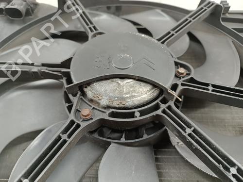  - Image 7