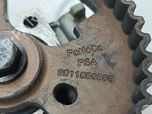 - Image 5