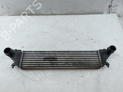 Intercooler FIAT TIPO Hatchback (356_, 357_) 1.3 D (356HXH1A) | BP39515301M30 - Image 5