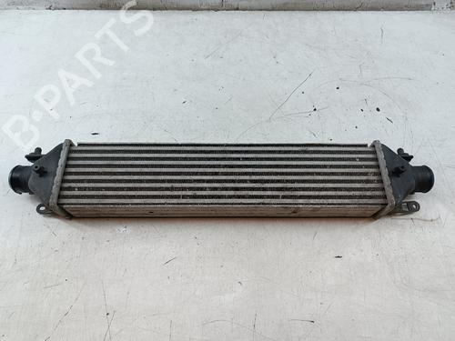 Intercooler Intercooler FIAT BRAVO II (198_) 1.6 D Multijet (198AXH1B) (105 hp) 39616642 39616642
