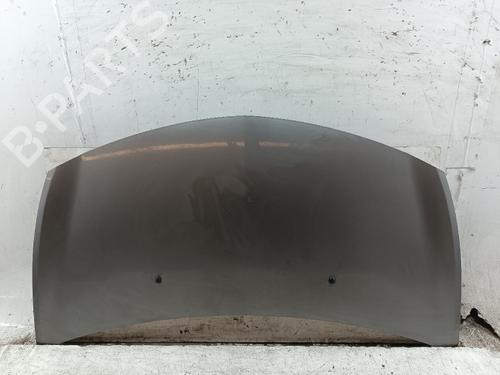 hood-renault-clio-iii-br01-cr01-2005-2006-2007-2008-2009-2010-2011-2012-2013-2014-40078004 main image