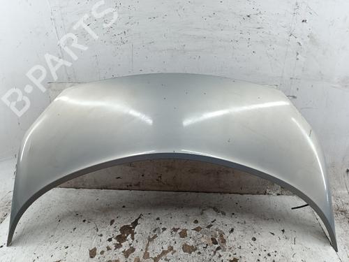 hood-renault-scenic-ii-jm01_-2003-2004-2005-2006-2007-2008-2009-2010-40234884 main image