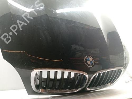 Hood BMW X6 (E71, E72)  | BP29925182C1