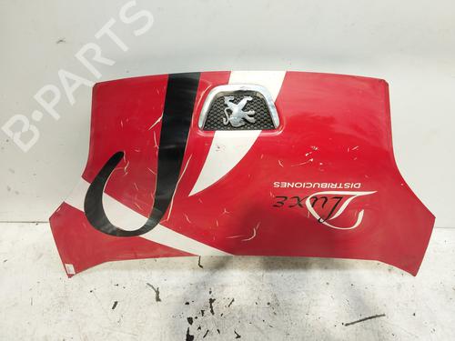 Hood PEUGEOT BIPPER (AA_)  | BP19527572C1 