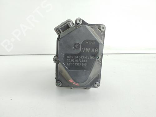 Throttle body SEAT IBIZA IV (6J5, 6P1)  | BP18162113M82 
