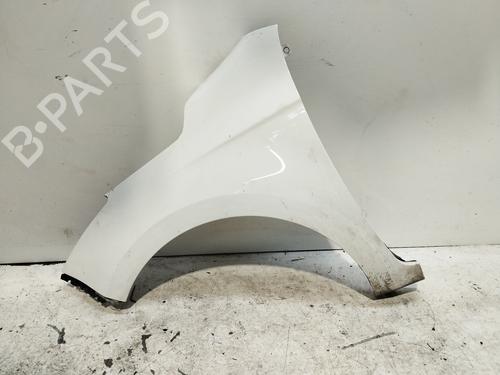 Used Left front fenders HYUNDAI i20 I (PB, PBT) [2008-2015]  21531224