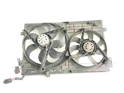 Used Radiator fan SEAT TOLEDO II (1M2) 1.9 TDI (110 hp) 29053410