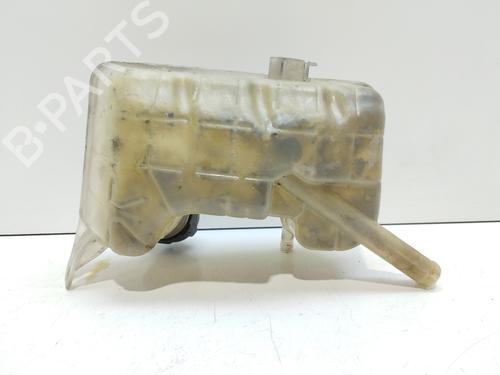 Expansion tank RENAULT GRAND SCÉNIC II (JM0/1_) 1.9 dCi (JM15) | BP17800762C120 