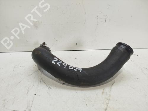 Pipe PEUGEOT 407 (6D_) | BP31716425M125