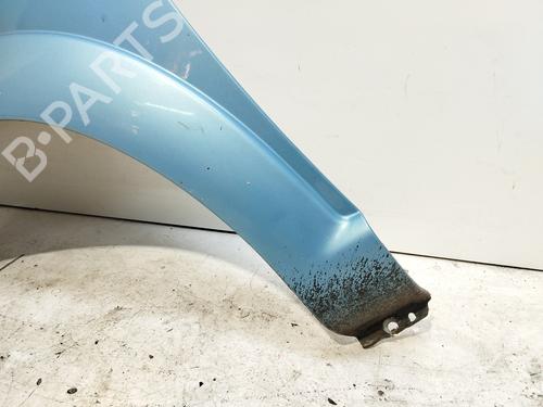 Left front fenders CITROËN C3 I (FC_, FN_) 1.4 i Bivalent | BP22516686C41 