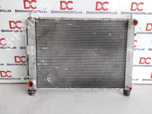 Used Water radiator RENAULT CLIO III (BR0/1, CR0/1) 1.5 dCi (BR17, CR17) (86 hp) 28180572