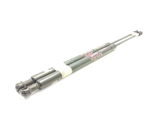 Hood lift support CITROËN XSARA Coupe (N0) 1.9 D | BP17423873C139 