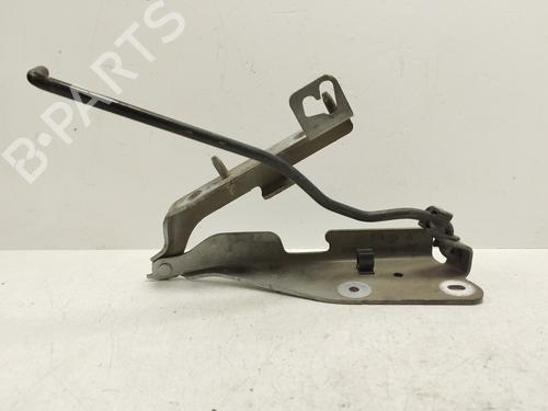Hinge/Door check strap CITROËN C3 I (FC_, FN_)  | BP29062545C146 