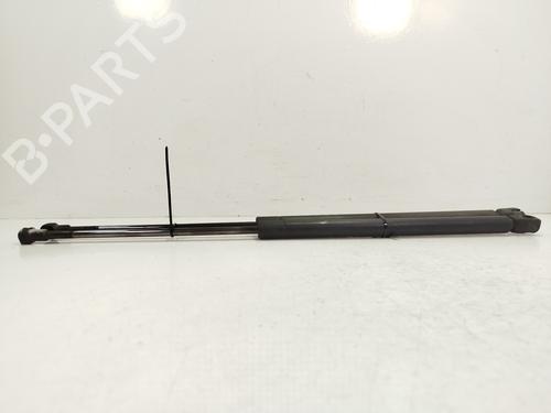 Used Tailgate lift support AUDI A3 (8L1) 1.9 TDI (130 hp) 29050232