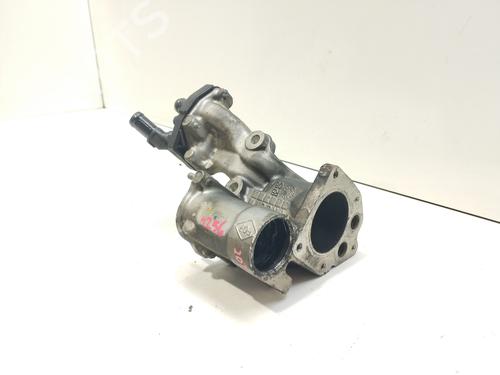 Egr RENAULT MEGANE II (BM0/1_, CM0/1_)  | BP25832964M69 