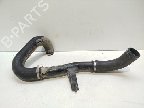 Pipe FIAT DUCATO Van (250_) 120 Multijet 2,3 D | BP29417117M125 