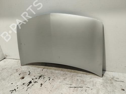 Hood RENAULT MEGANE II (BM0/1_, CM0/1_)  | BP25022092C1 